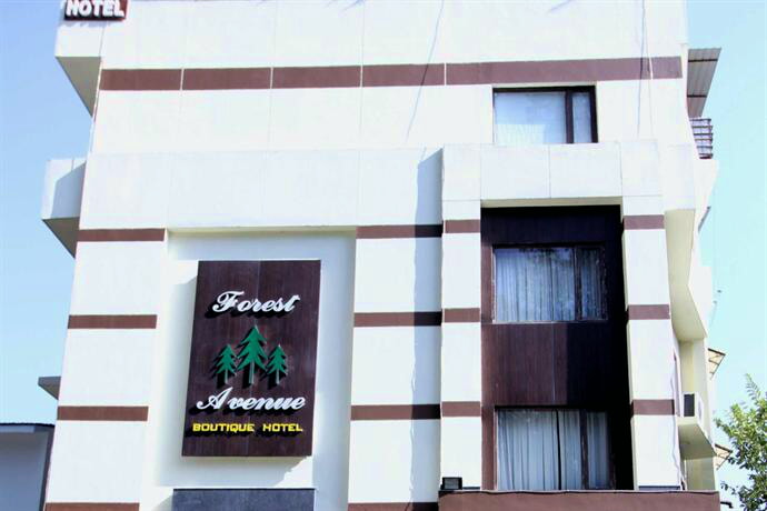 Hotel Forest Avenue
